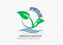 Hidroponik Tarım Eğitimi – SPİRİTUALİST